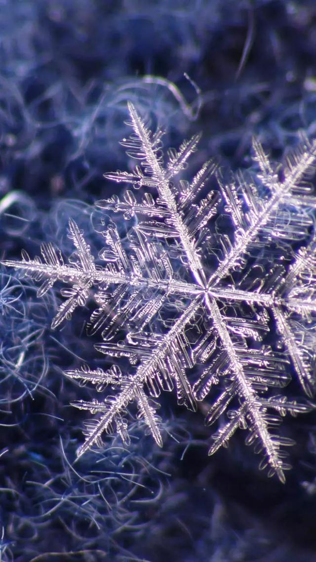 今天的小雪……无感？