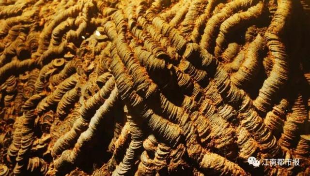 历史上真的有海底墓吗，《怒海潜沙》中西沙考古队去了哪里