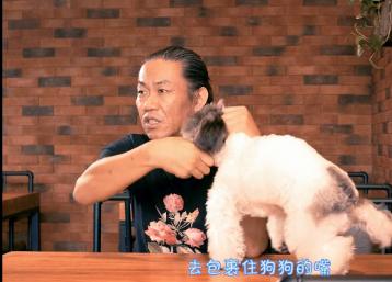 给狗割声带:狗狗叫唤不停，主人应该怎么做？