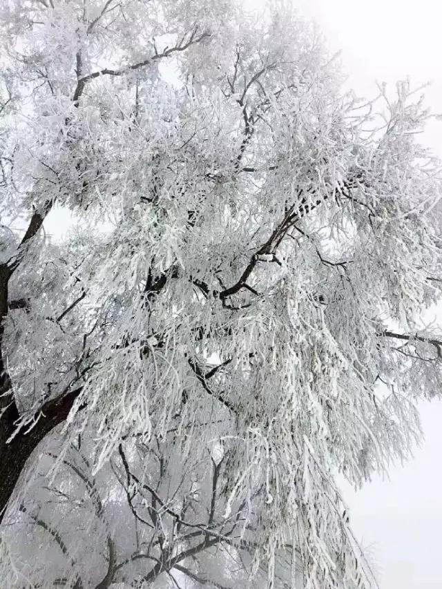 城市存在感与知名度有关吗，现在是不是有很多人上今日头条来找存在感，望别人同情和帮助自己