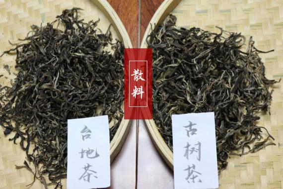 古树藤条茶是普洱茶么,如何辨别古树茶和台地茶？