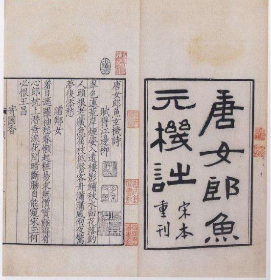 唐朝女性春游:在封建社会中，女子有没有什么运动方式？