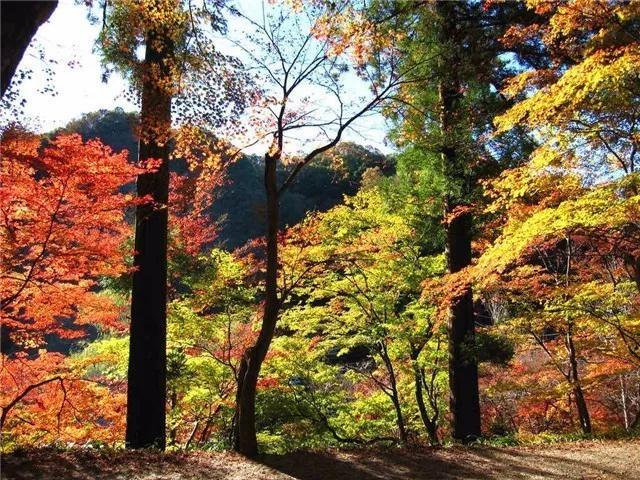 日本旅游 除了常规的东京 大阪一条线外 还有哪些地方值得去 头条问答