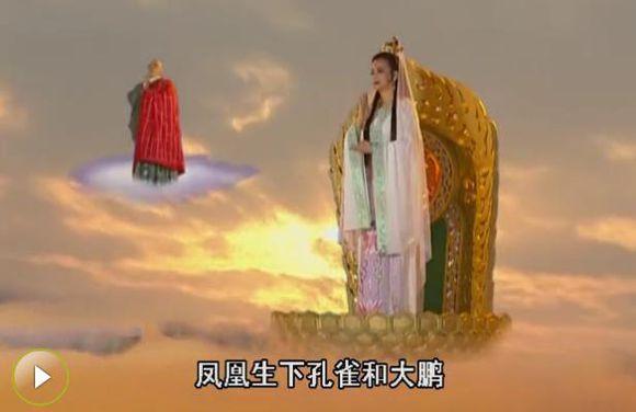 孔雀开屏是公的还是母的在线观看:是不是只有公孔雀才开屏呢？