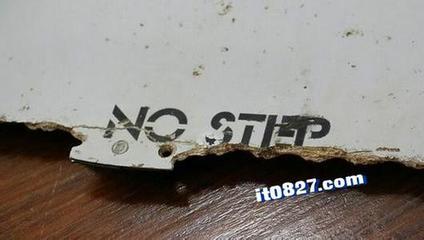 MH370班机上的高精尖芯片专家有没有可能生还，只是被囚禁？
