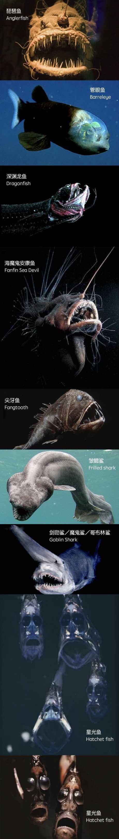 如果人类下潜到海底最深处，会发生什么？