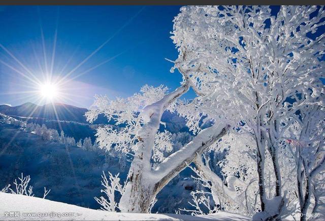 头条问答 日本最美的雪景在哪 掠过林梢的风的回答 0赞