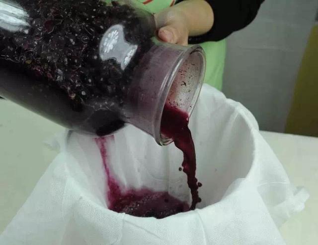 自制果酒的危害,喝自酿的葡萄酒有什么危险？