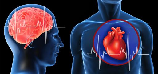 冬季心臟病養生知識,冬季心腦血管疾病該如何預防？