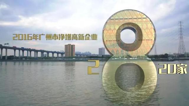 广州雪纳瑞论坛:雪纳瑞真实价格 为何世界都在关注广州《财富》全球论坛？