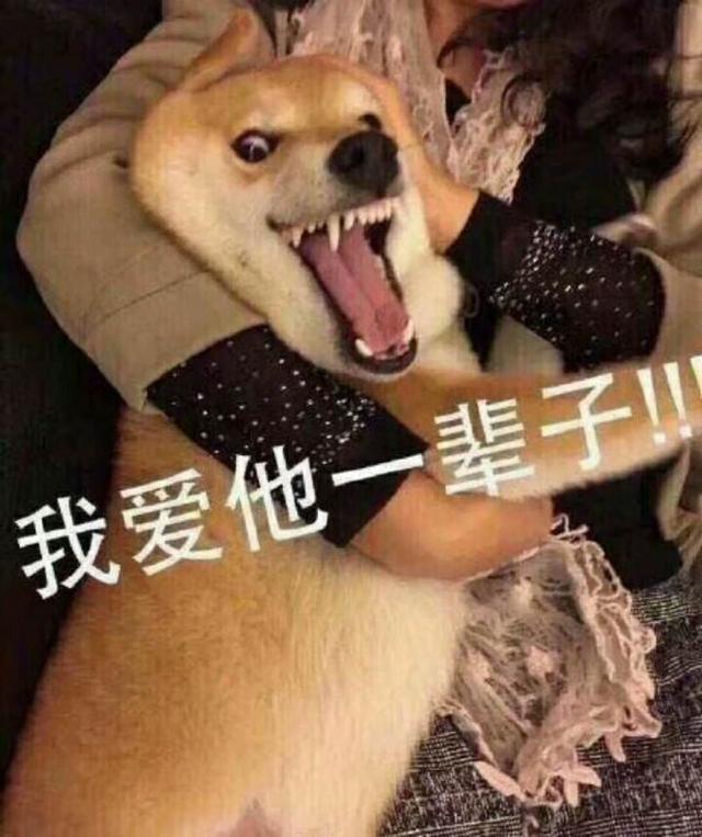 吐丝联盟:那些“不讲道理”的女人最终都幸福吗？