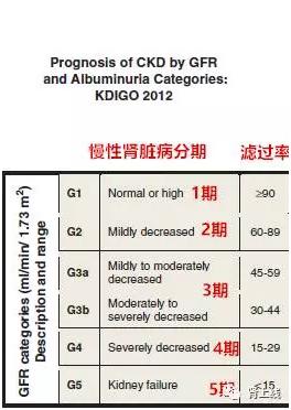 头条问答 肾功能不好的人都会得尿毒症吗 肾上线的回答 0赞