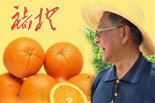 褚橙的价格那么贵,为什么销量还那么好？