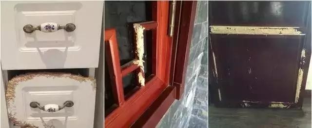 边牧犬多少钱一只:边牧犬多少钱一只黑色 如何挑选一只好的边牧幼犬？