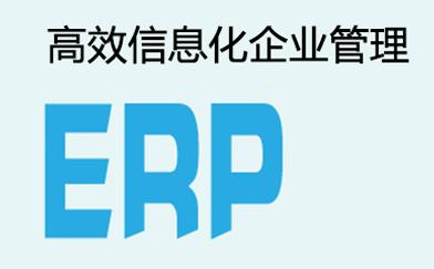 ERP是什么意思？:tg是什么的缩写 第2张