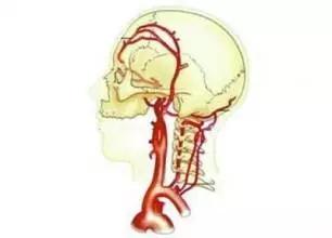 脊椎病:脊椎病的自我治疗方法 颈椎病对身体有哪些危害？