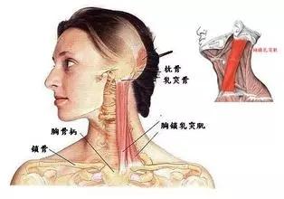 颈椎病引起的肠胃不适的症状:颈椎病会引起肠胃不适症状 颈椎病对身体有哪些危害？