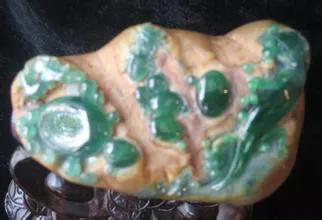 石花是什么样子的,你见过的最大的生石花有多大？