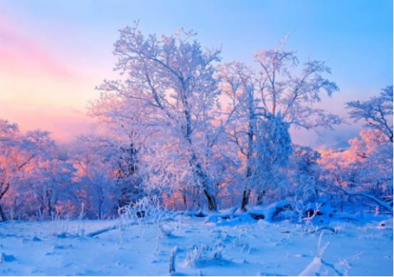 中国十大玩雪圣地是哪十大？