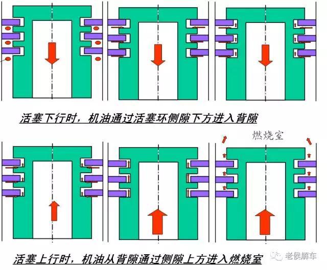 furminator猫刷子厂家:鱼缸刷子哪一个品牌好？怎么选择？