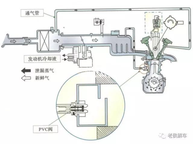 furminator猫刷子厂家:鱼缸刷子哪一个品牌好？怎么选择？