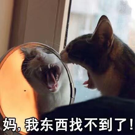 我的新衣穆熙妍微博:我的新衣穆熙妍微博 如何看待那些嫌弃自己父母的人？