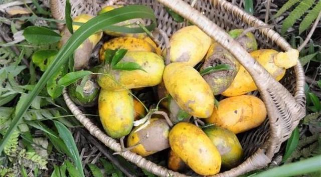 江西上犹营前天气预报(上犹营前天气预报15天)-第7张图片-启辰天气网