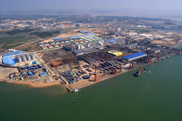 水母养殖基地:中国最大的蚝苗产区在哪儿？ 水母养殖基地视频