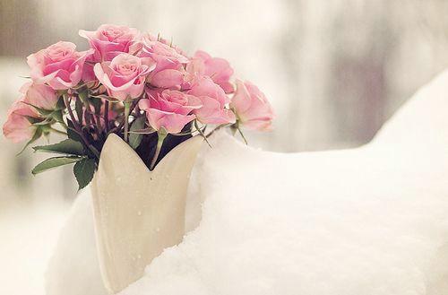 头条问答 哪首歌陪你度过失恋 花儿与爱丽丝 的回答 0赞