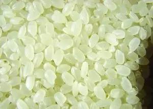 沥米饭是什么意思，印度的米为什么看起来是一粒一粒的