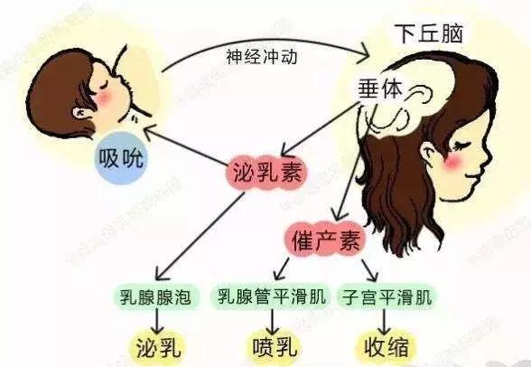 6个月奶水少的原因:生气后乳汁变少是什么原因？