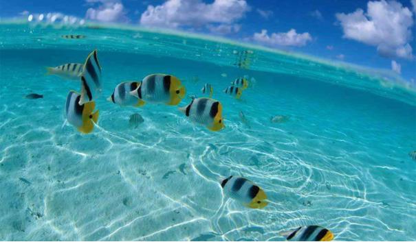 马尔代夫旅游要如何选择休闲度假岛屿呢插图4