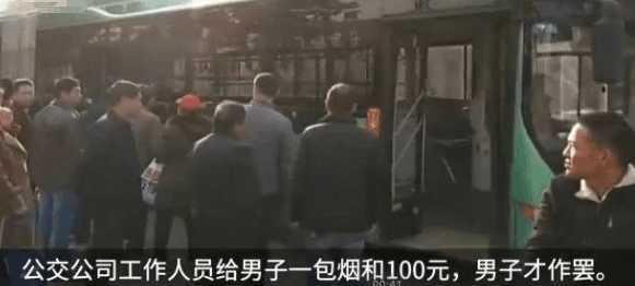 河南爆红小博美闹闹:郑州两男子目睹车祸后称被吓死了，要求赔偿损失费，你怎么看？