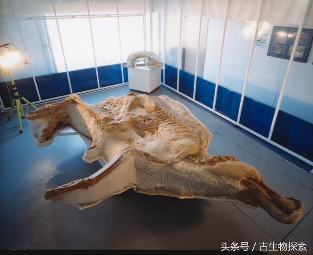黄利辉干尸:《心灵法医》明川到底是不是干尸案的凶手