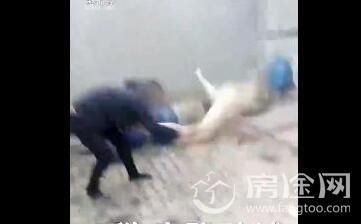 男子当街生火烤狗拍虐狗视频:北京一男子遛自家宠物狗，抡砖狠心砸死流浪狗，你怎么看？ 男子街头疯狂虐狗