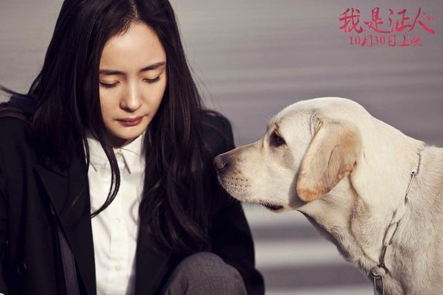 杨幂的现任老公是谁:杨幂和唐嫣，你觉得谁演技更好，你更喜欢谁
