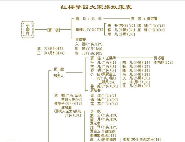 红楼梦当中的人物关系(红楼梦中各个人物的关系)