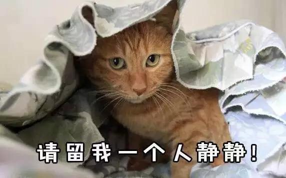 太重口味:有哪些比较重口味的电影可以推荐吗