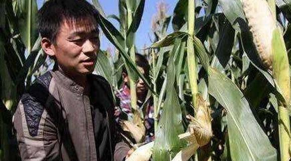 房子格局影响人的时运吗,一个人的出身对他的格局会有多大影响？