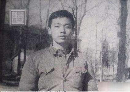 杨立新和杨玏:娱乐圈里面，哪对父子更有实力？