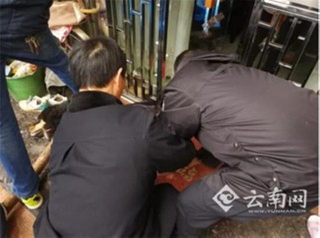 8藏獒咬死主人视频:中华田园犬在主人不给食物的情况下会反过来咬主人吗？