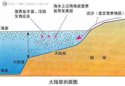 什么是“大陆架”？