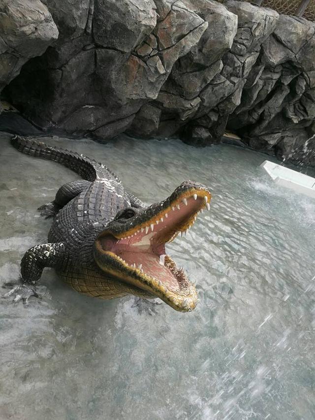 头条问答 - 鳄鱼被称为"活化石",因为很早便停止演化并幸存至今?