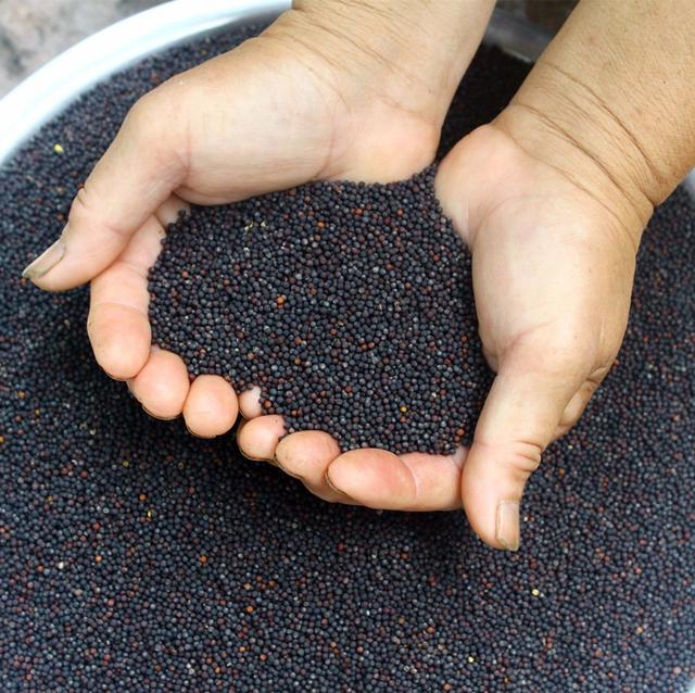 头条问答 - 菜籽种植补贴的最新内容是什么?(3个回答)