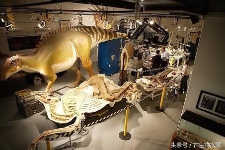 黄利辉干尸:《心灵法医》明川到底是不是干尸案的凶手