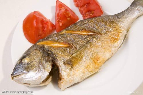 农村这种鱼虽美味却有毒，有哪些鱼是含毒的，不能吃或要慎吃的呢