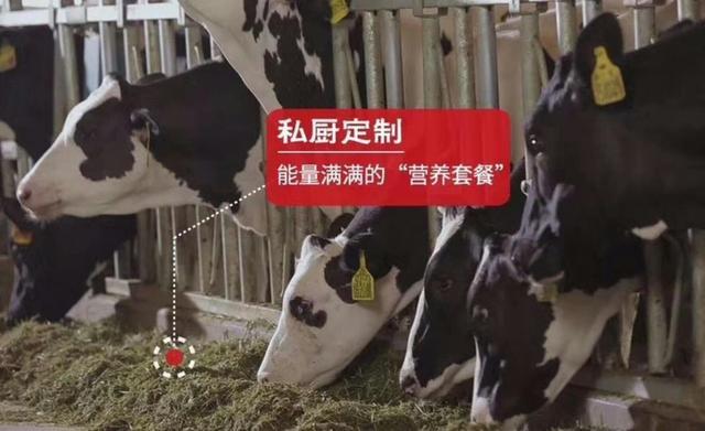 明胶事件:问一下大家都是通过什么理财的，一般年化收益率在多少