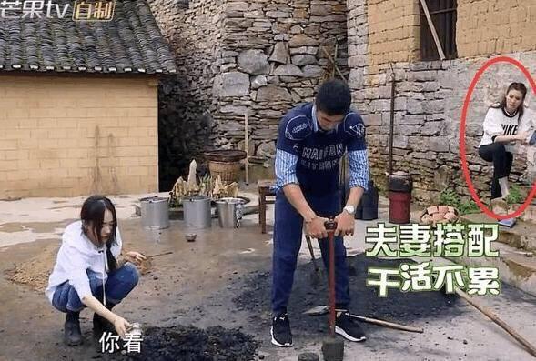 杨乐乐老公:有哪些明星夫妻的感情让你“开始相信爱情”？
