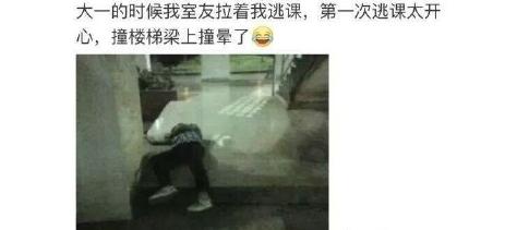 你的手机里有哪些猫咪<a href=https://maguai.com/list/39-0-0.html target=_blank class=infotextkey>搞笑</a>图片(猫咪头像图片微信头像)