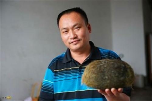 猪砂图片:猪砂的价格 这是什么？有什么作用？有价值吗？